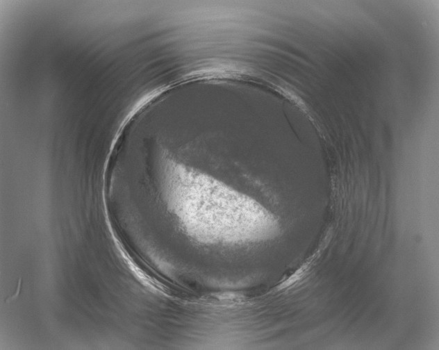 X0000054371034200508051550