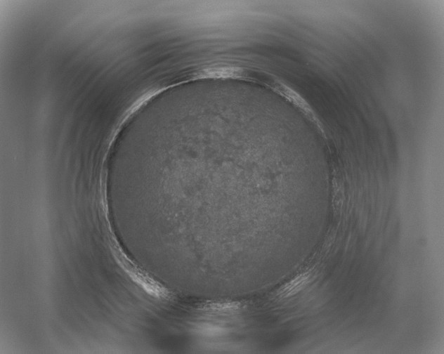 X0000054371035200508051550