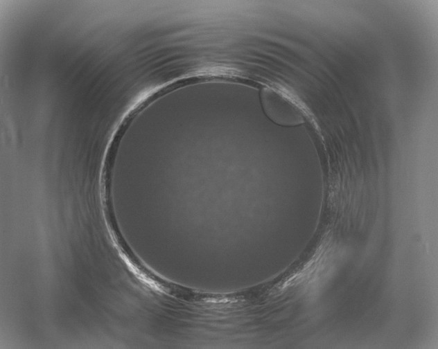 X0000054371037200508051550