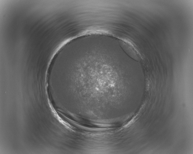 X0000054371038200508051550