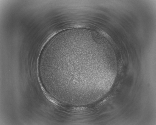 X0000054371039200508051550