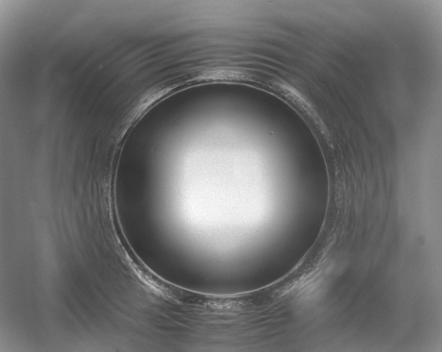 X0000054371041200508051550