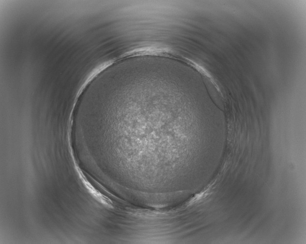 X0000054371042200508051550