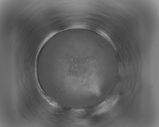 X0000054371043200508051550