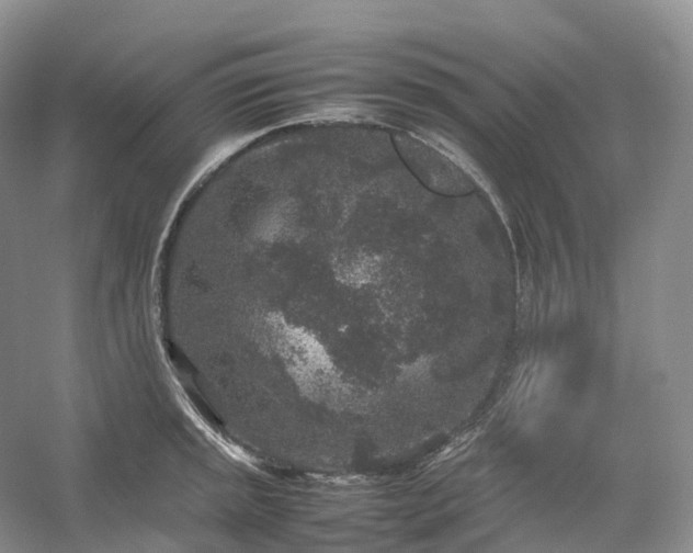 X0000054371045200508051550