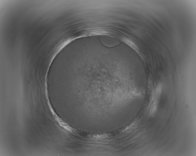 X0000054371047200508051550