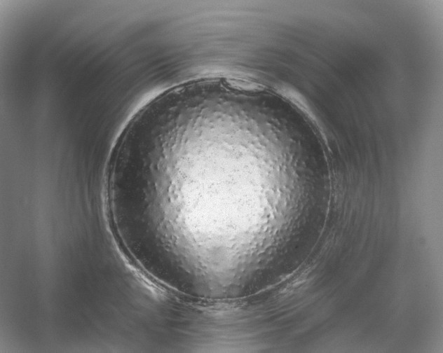 X0000054371048200508051550