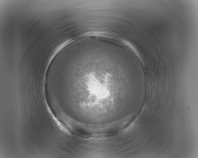 X0000054371050200508051550