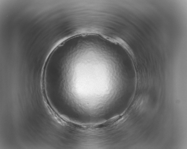 X0000054371052200508051550