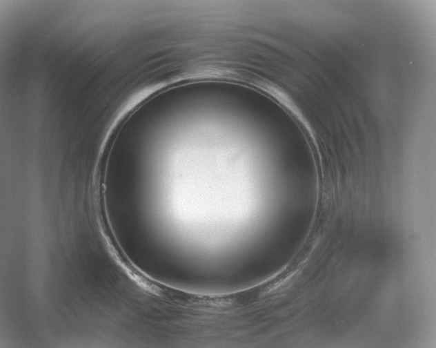 X0000054371053200508051550