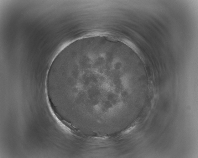 X0000054371055200508051550