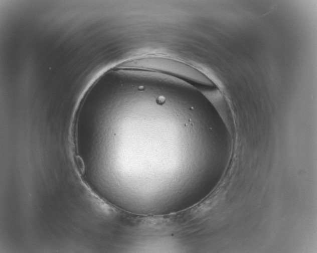 X0000054371056200508051550