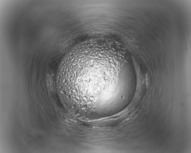 X0000054371059200508051549