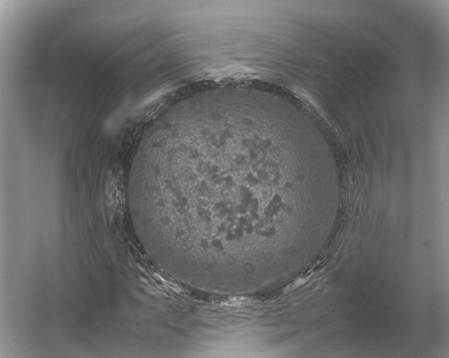 X0000054371063200508051549