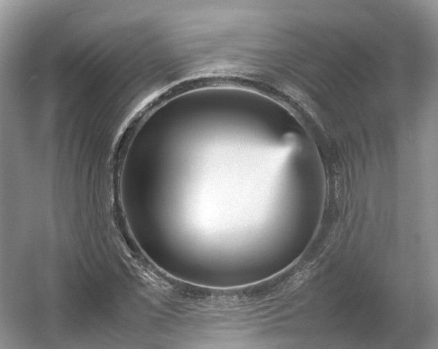 X0000054371069200508051549