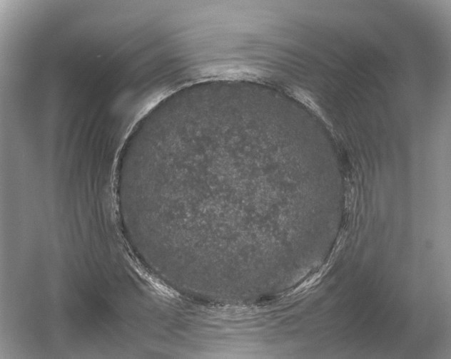 X0000054371071200508051549