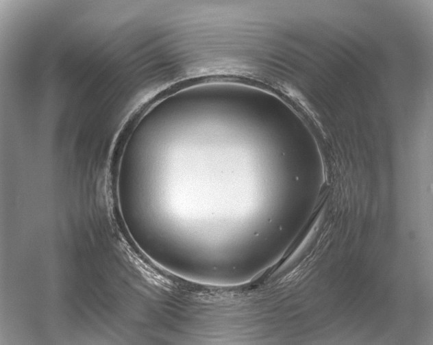 X0000054371072200508051549