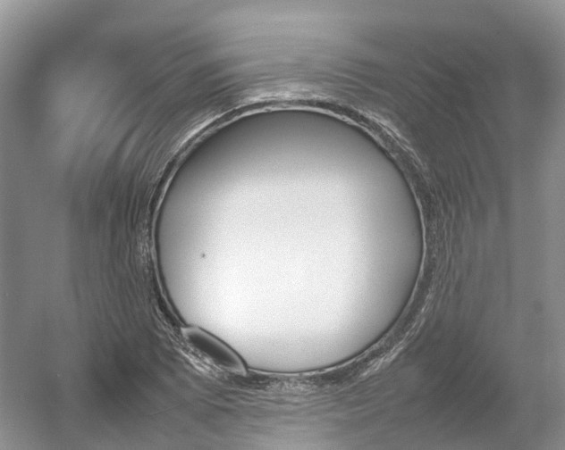 X0000054371073200508051549