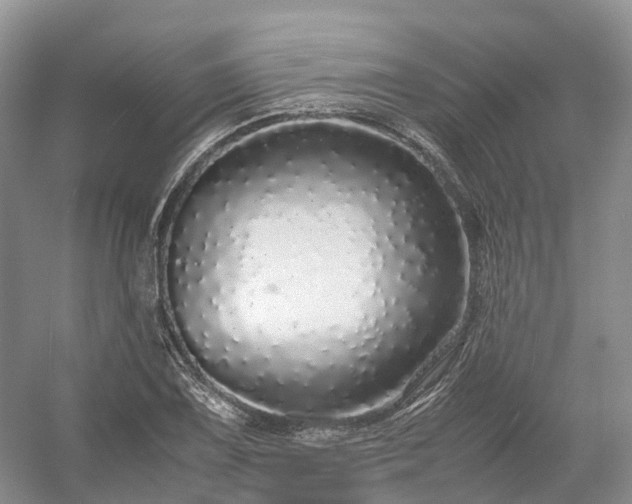 X0000054371075200508051549