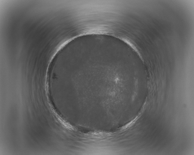 X0000054371077200508051549