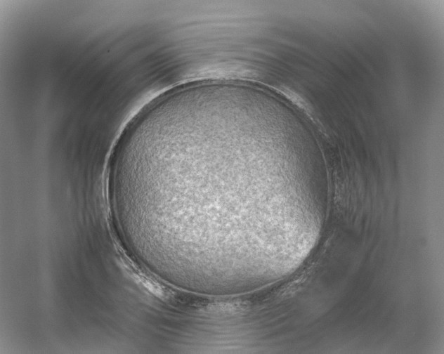 X0000054371078200508051549