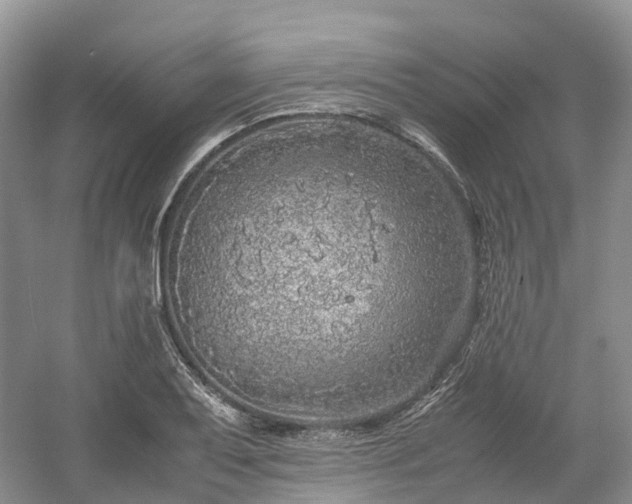 X0000054371079200508051549