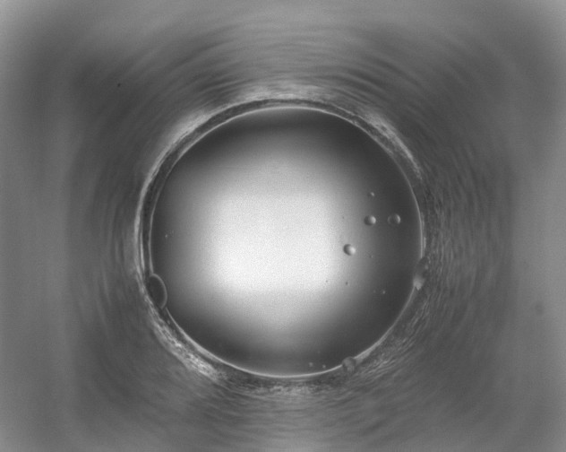 X0000054371080200508051549