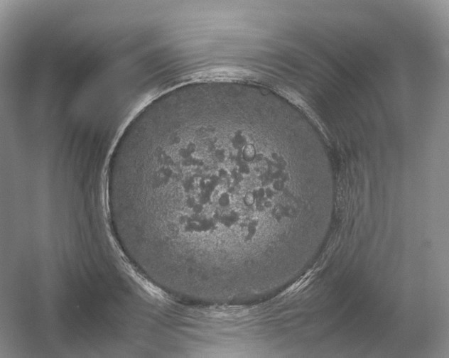 X0000054371083200508051549