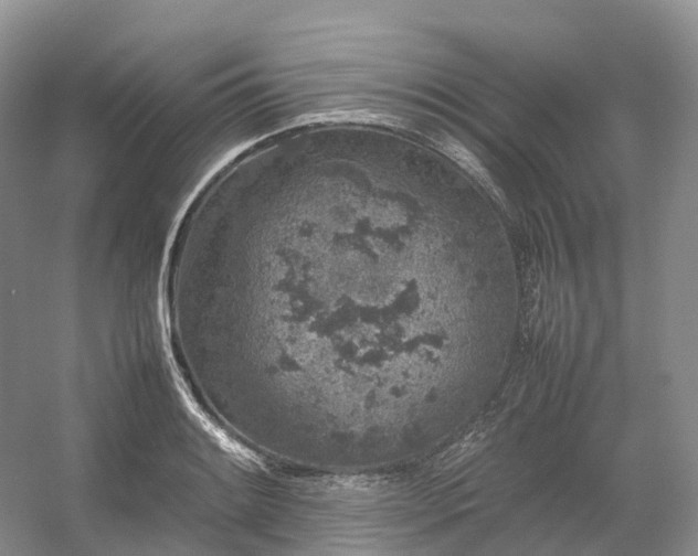 X0000054371084200508051549