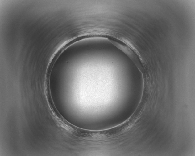 X0000054371085200508051549