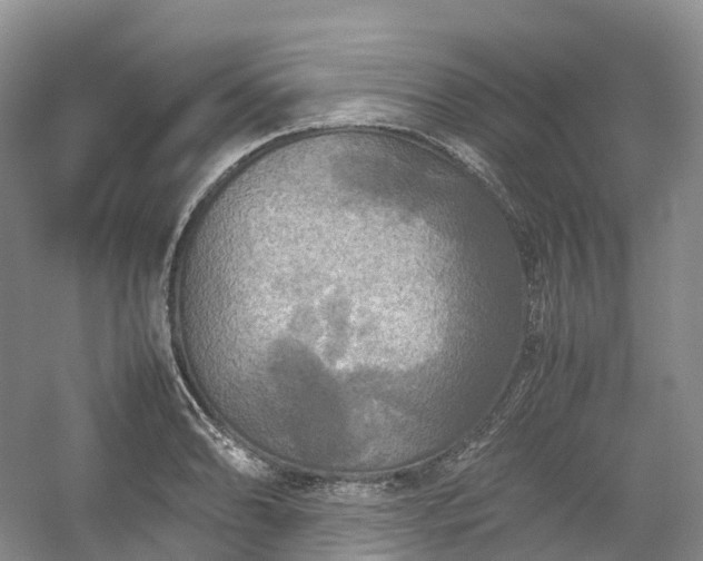 X0000054371086200508051549