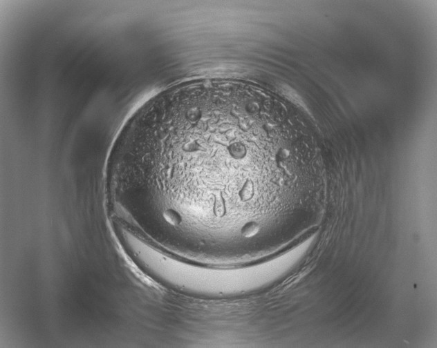 X0000054371087200508051549