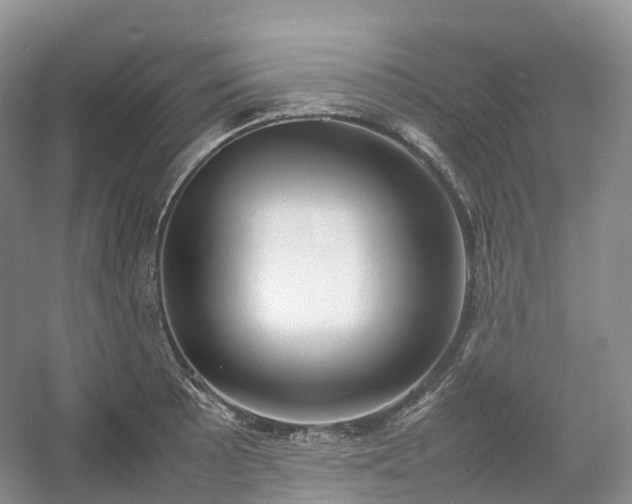 X0000054371089200508051549