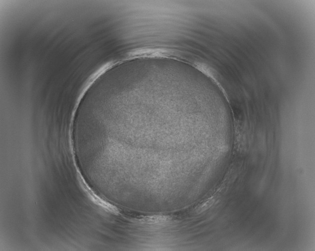 X0000054371090200508051549