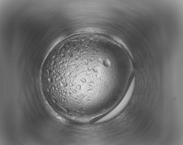 X0000054371091200508051549