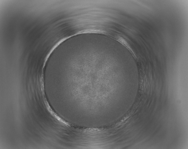 X0000054371092200508051549