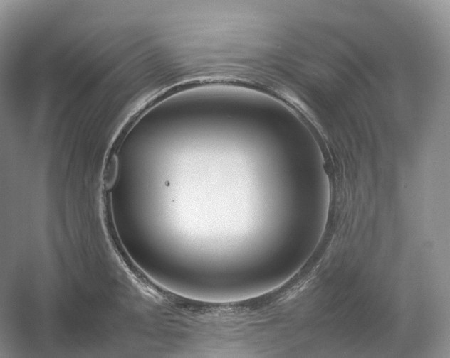 X0000054371093200508051549