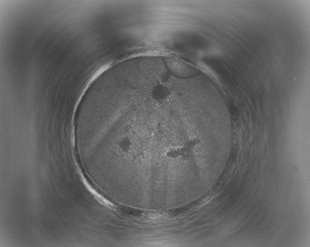 X0000054371095200508051549