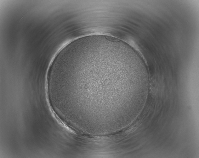 X0000054371096200508051549