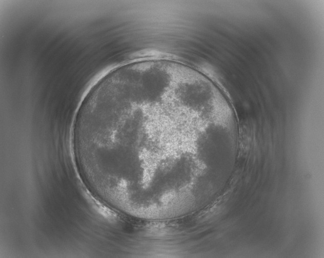 X0000054371098200508051548