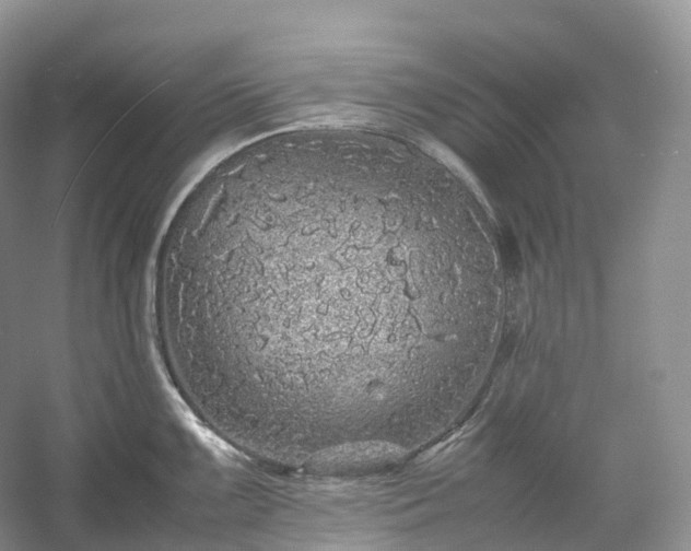 X0000054371099200508051548