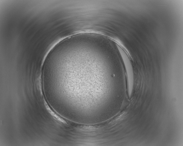 X0000054371100200508051548