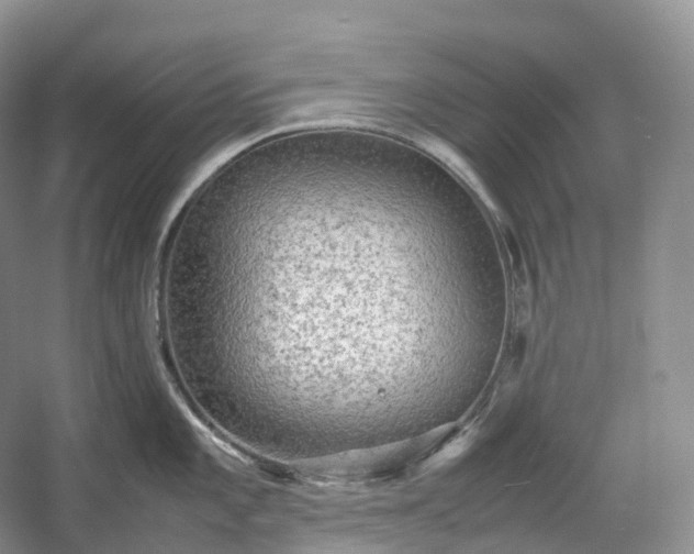 X0000054371101200508051548