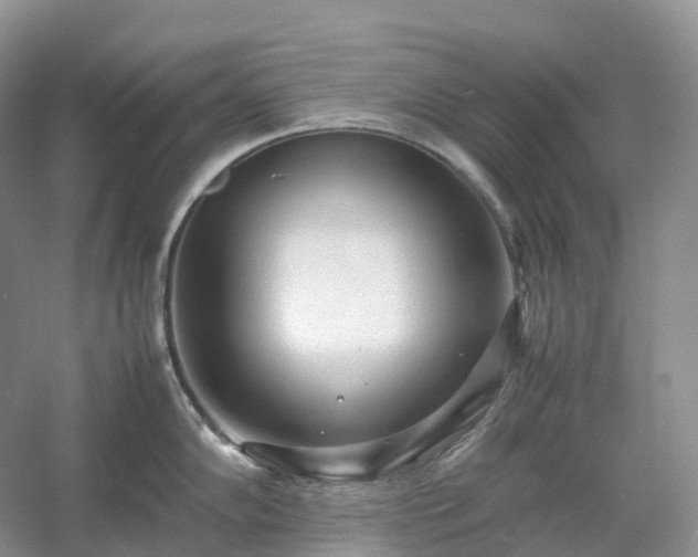 X0000054371102200508051548