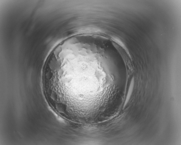 X0000054371103200508051548