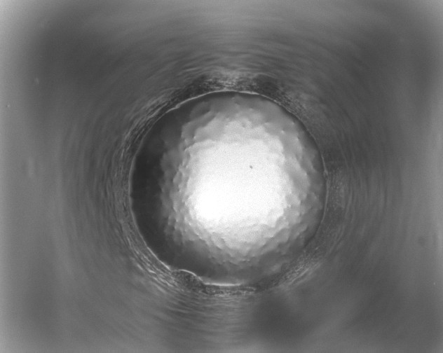 X0000054371105200508051548