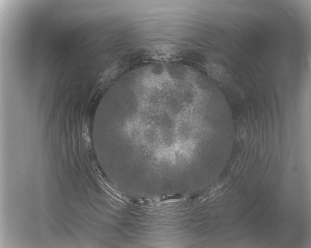 X0000054371106200508051548