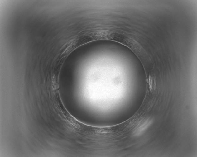 X0000054371107200508051548