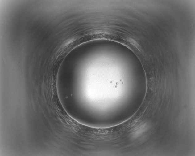 X0000054371111200508051548