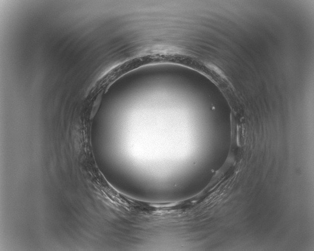 X0000054371112200508051548